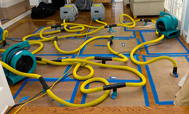 Professional Structural Drying And Dehumidification technician working in Charlestown, MD